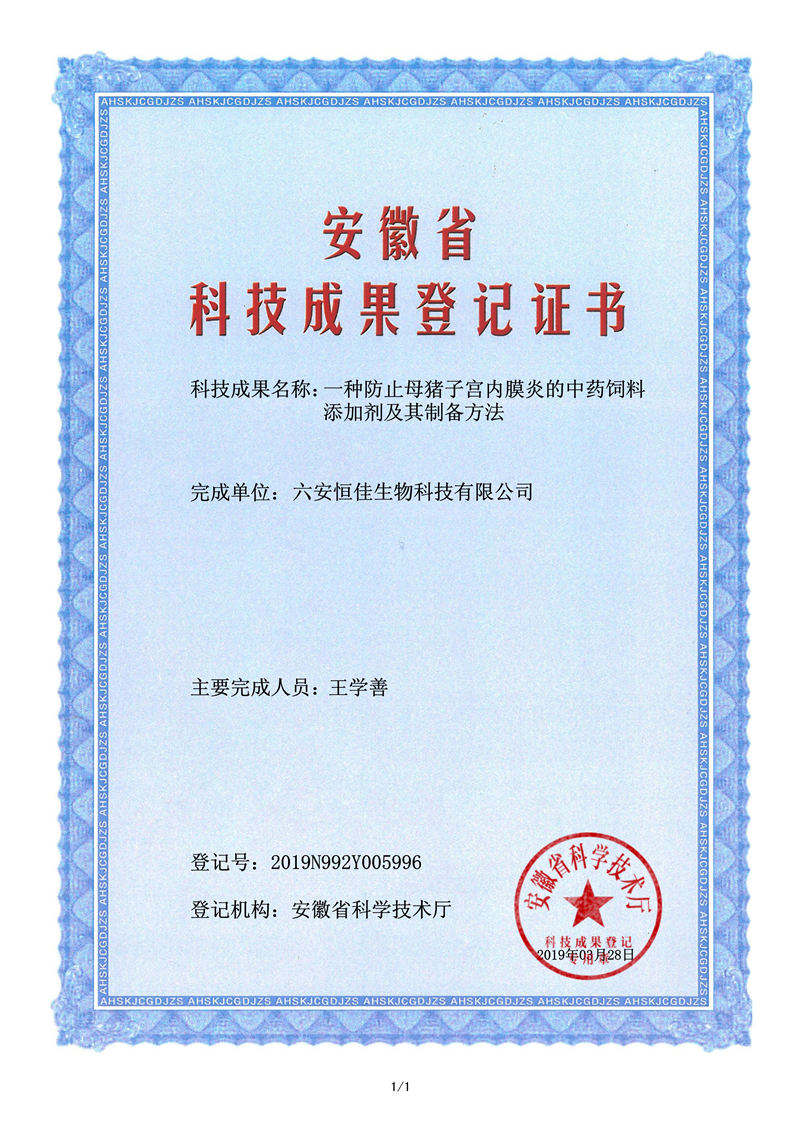母猪子宫内膜炎-1