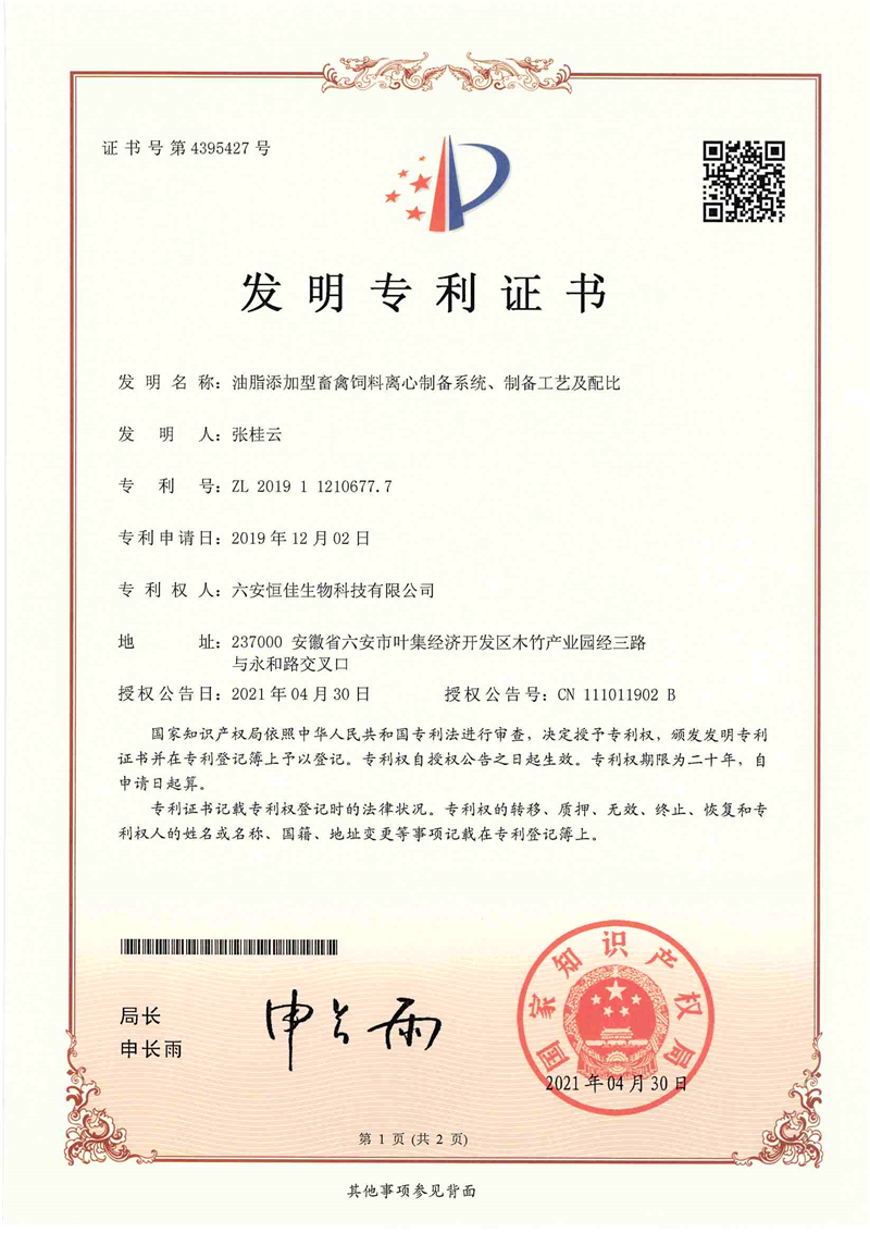 发明专利