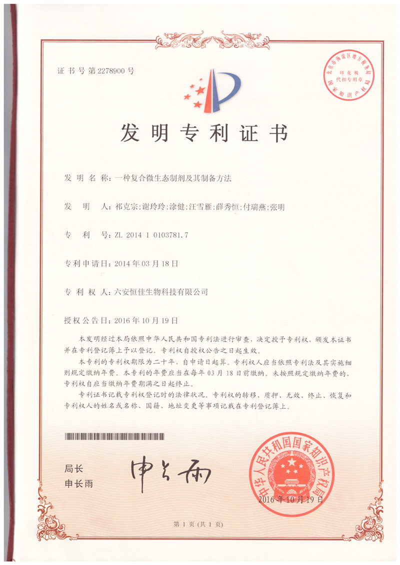 发明专利