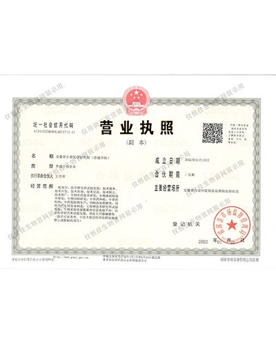 荣誉证书