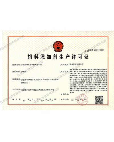 荣誉证书